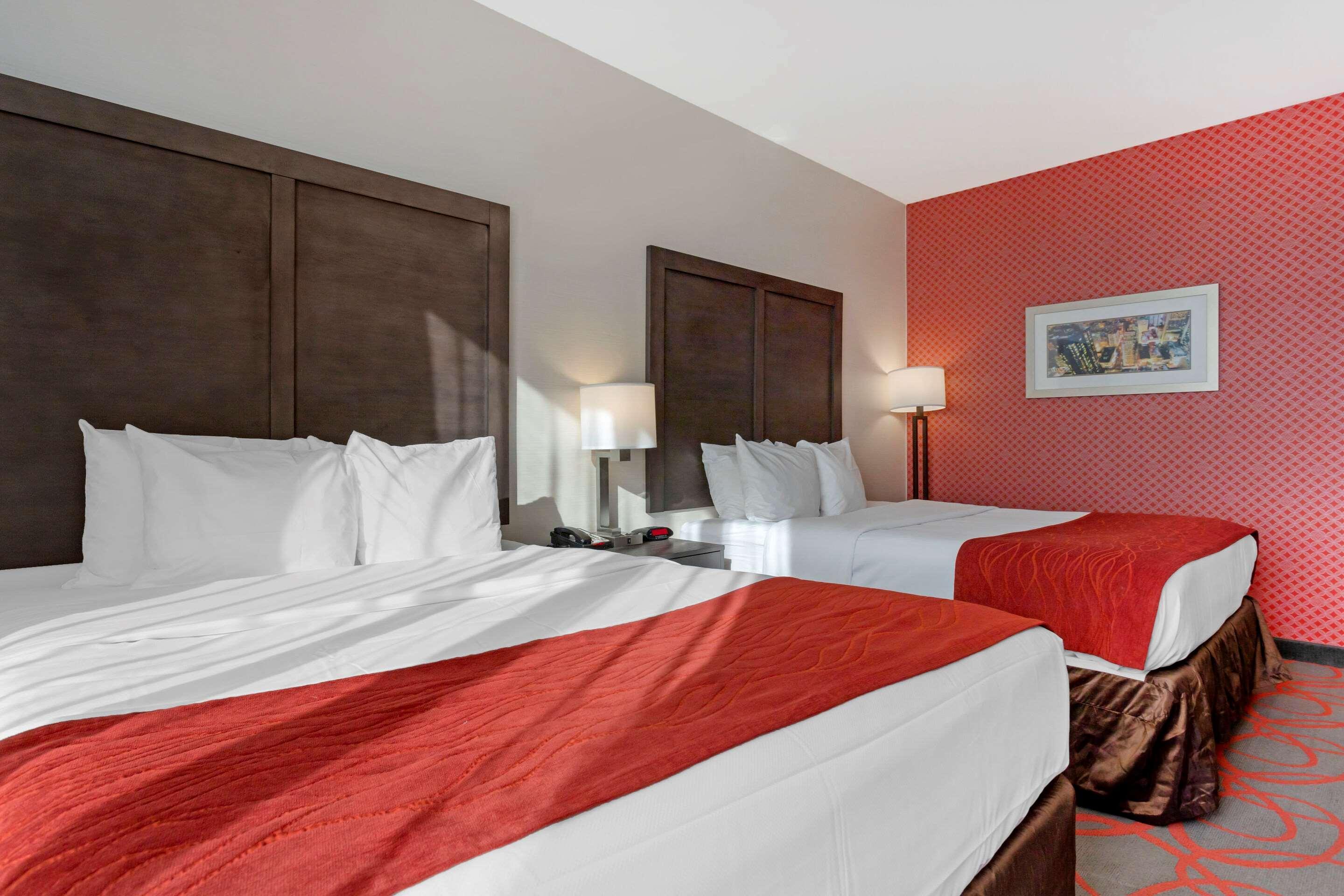 Comfort Inn & Suites Near Stadium New York Exteriör bild